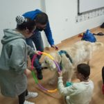 terapia-perros-colegio-san-antonio-006