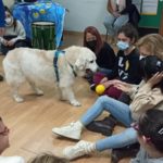 terapia-perros-colegio-san-antonio-008