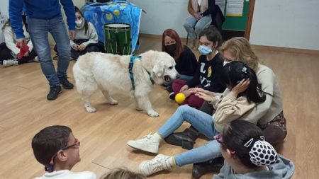 terapia-perros-colegio-san-antonio-008