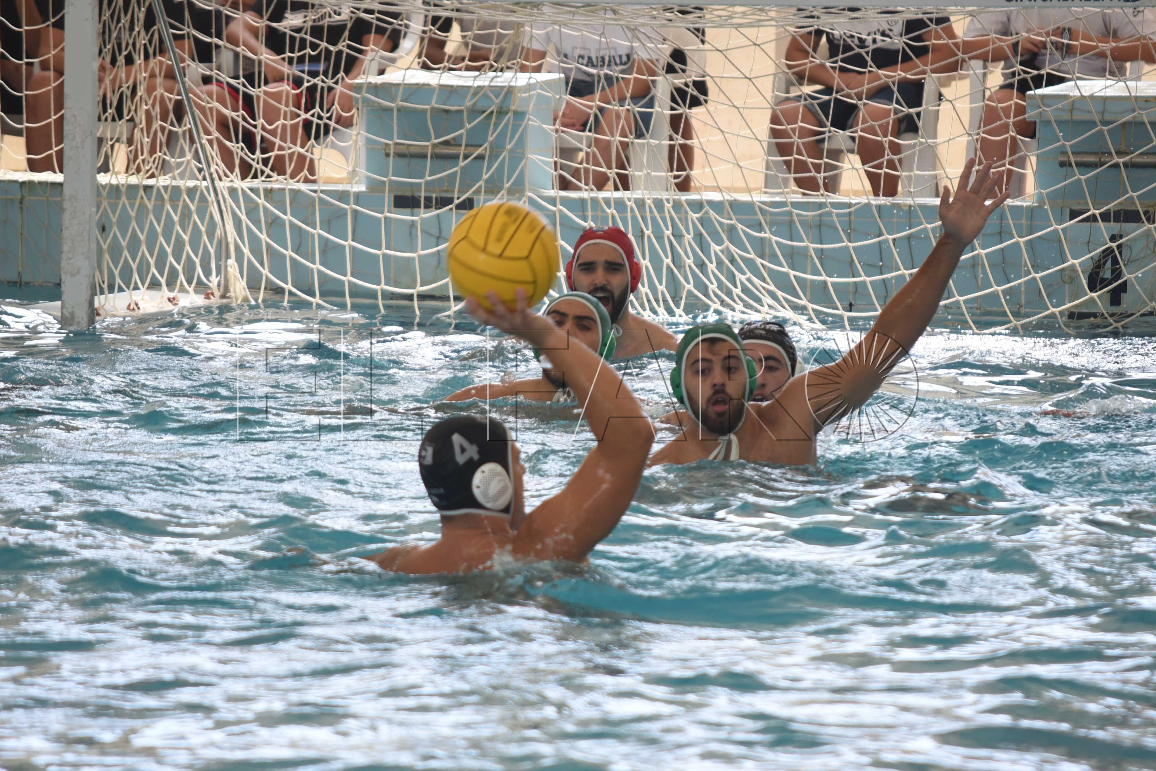 waterpolo-caballa