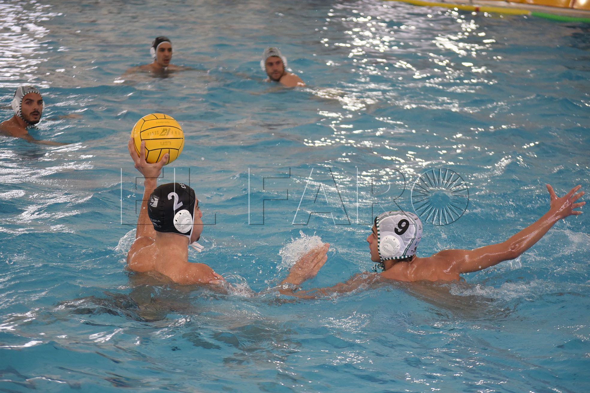 waterpolo