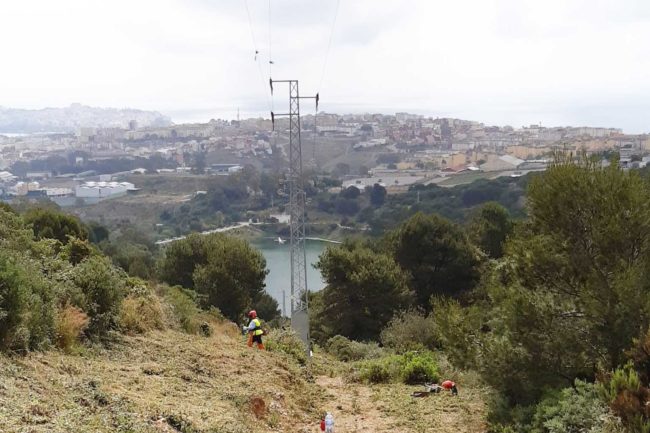 La empresa de alumbrado eléctrico de Ceuta inicia los trabajos para la prevención de incendios forestales