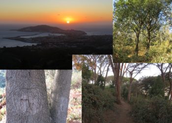 imagenes-ceuta