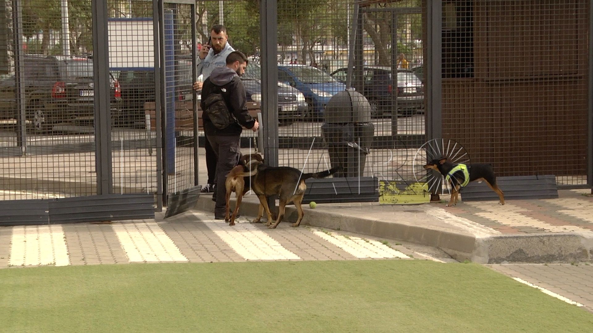 zona-parque-perros5