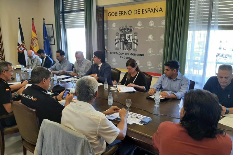 comite-asesor-ope (3)