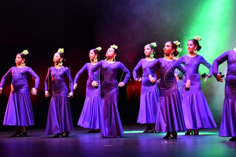 espectaculo-danza-allegro-revellin-007