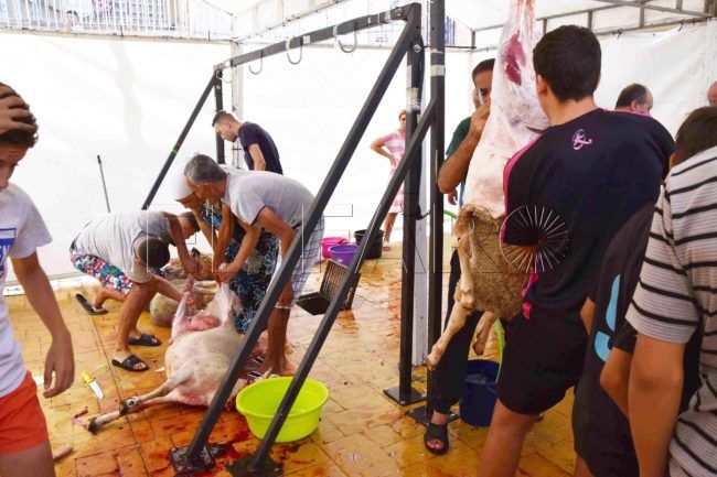 El Faro - Los mataderos móviles, «alternativa correcta» para la Pascua del Sacrificio