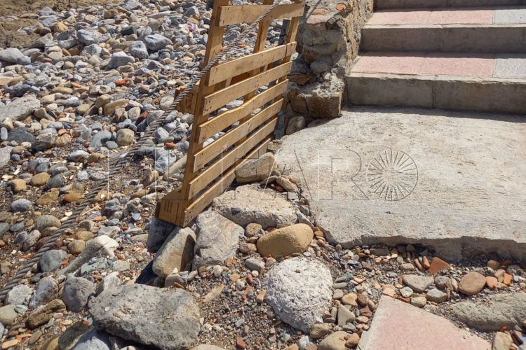 playa-perros-1