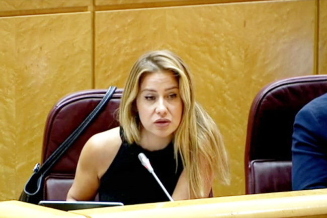 El PSOE rechaza aludir a Schengen en la Ponencia de estudio del Senado