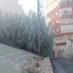 suciedad-barriada-patio-castillo-001
