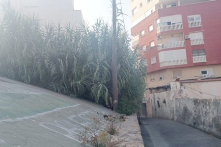 suciedad-barriada-patio-castillo-001