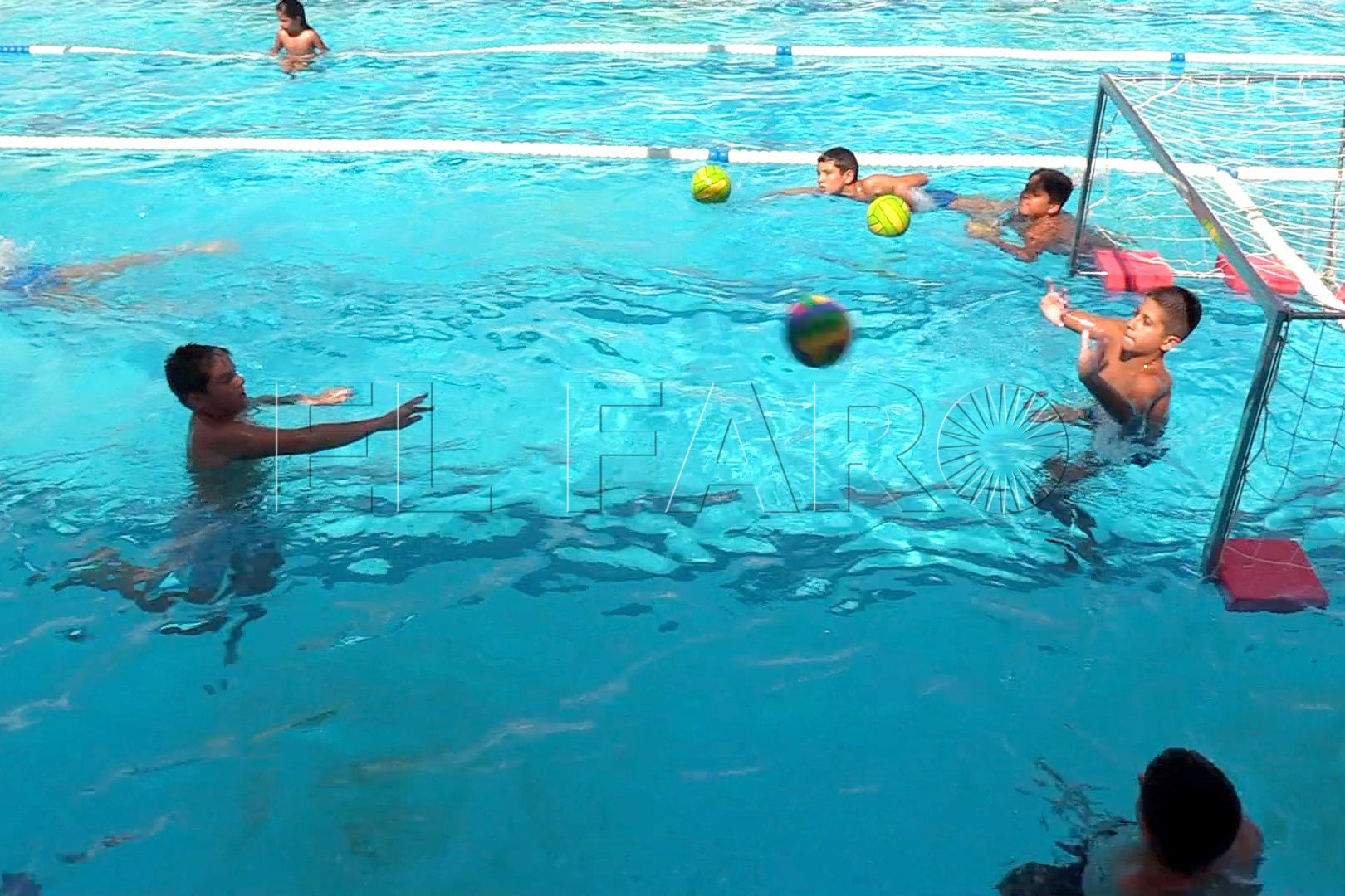 waterpolo-natacion-caballa