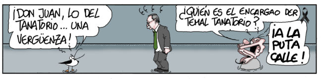Lunes 8 de agosto de 2022