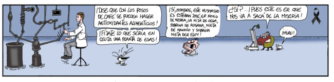Domingo 14 de agosto de 2022