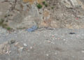 basurero-playa-bolera-003