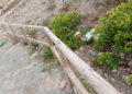 basurero-playa-bolera-007
