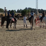 equitacion-hipica (2)