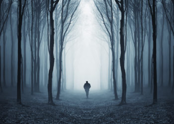 oscuridad-bosque