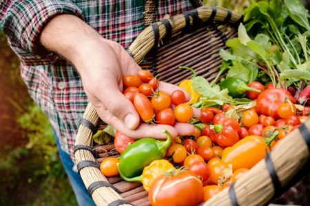 tomates-naturaleza