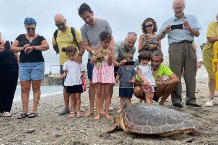 tortugas-cecam (5)