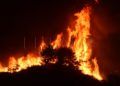García-Aldave-Incendio-Ceuta-004