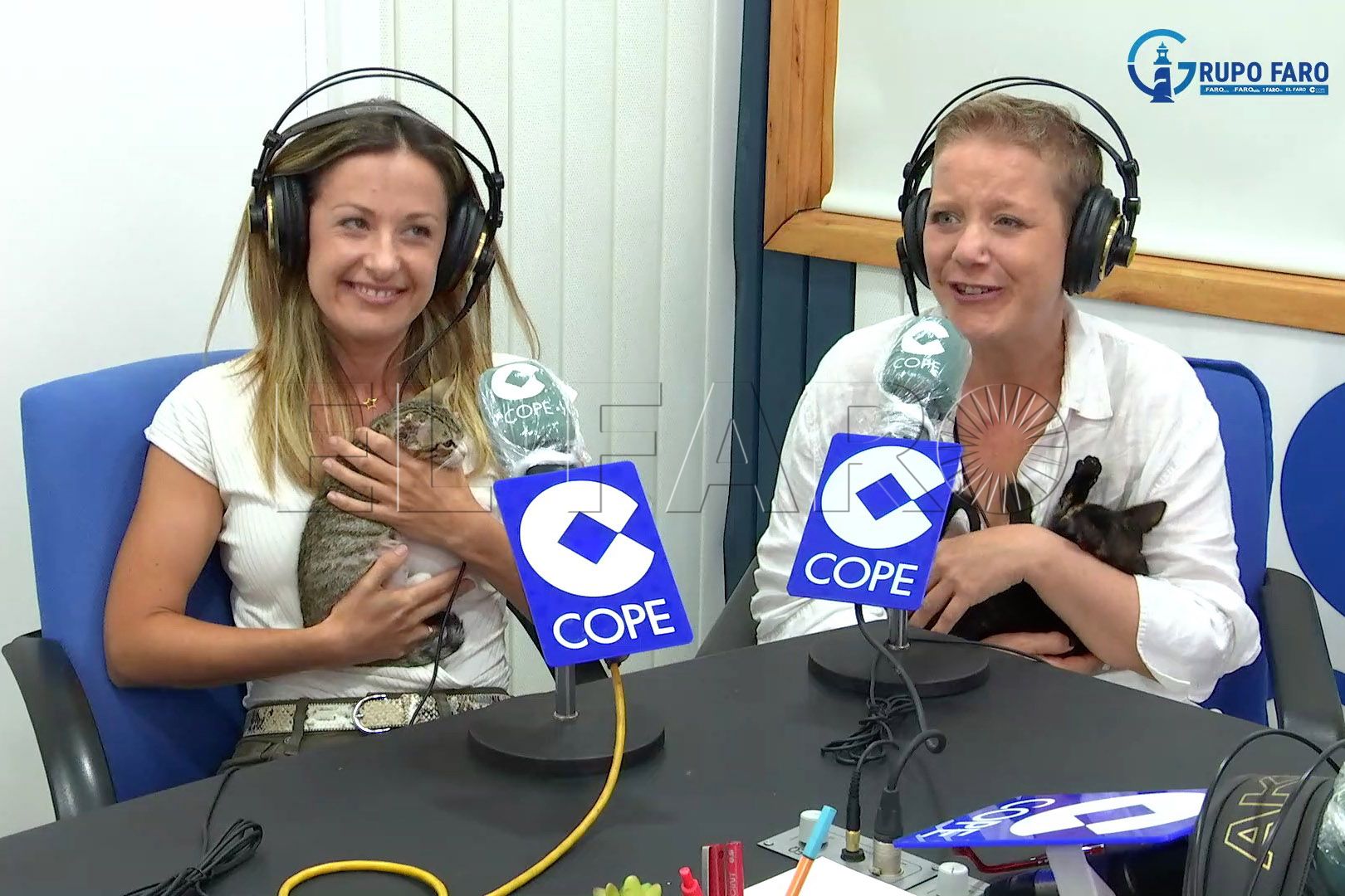 asociacion-chat-noirs (1)
