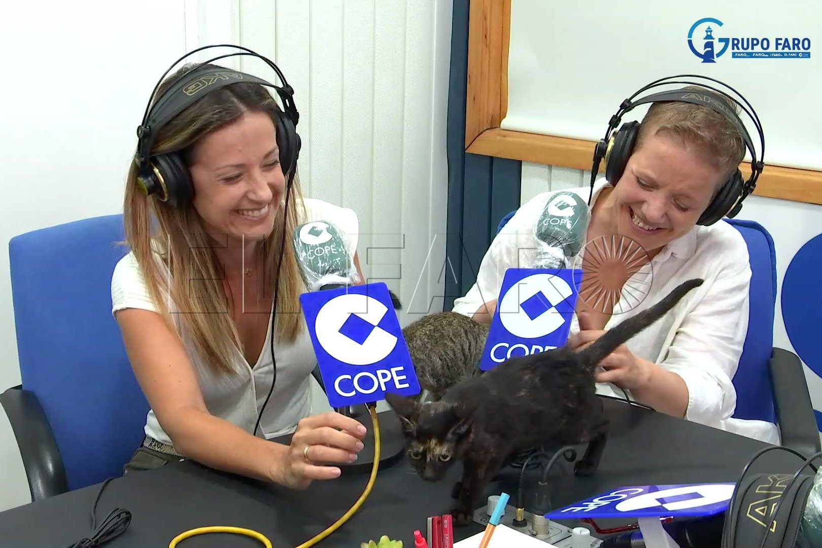 asociacion-chat-noirs (3)