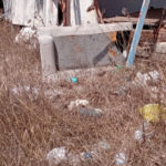basura-mirador-oasis-013