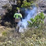 bomberos-incendio-monte-garcia-aldave-002