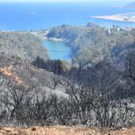 bomberos-incendio-monte-garcia-aldave-004