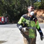 bomberos-incendio-monte-garcia-aldave-005
