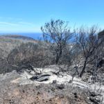 bomberos-incendio-monte-garcia-aldave-009