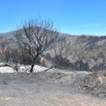 bomberos-incendio-monte-garcia-aldave-012