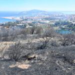 bomberos-incendio-monte-garcia-aldave-013