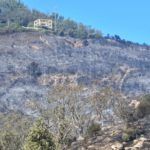 bomberos-incendio-monte-garcia-aldave-016