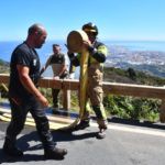 bomberos-incendio-monte-garcia-aldave-021