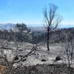 bomberos-incendio-monte-garcia-aldave-024