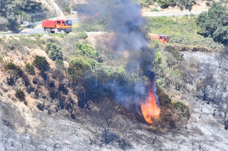 bomberos-incendio-monte-garcia-aldave-025