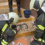 bomberos-oxigeno-gatos-incendio-1