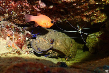 buceo-burbujas-graciosa-canarias-002