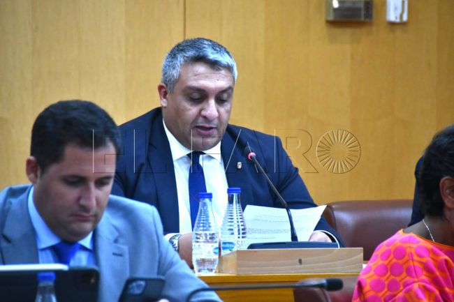 Dris dice que poner la futura subestación en el puerto es una decisión “técnica”