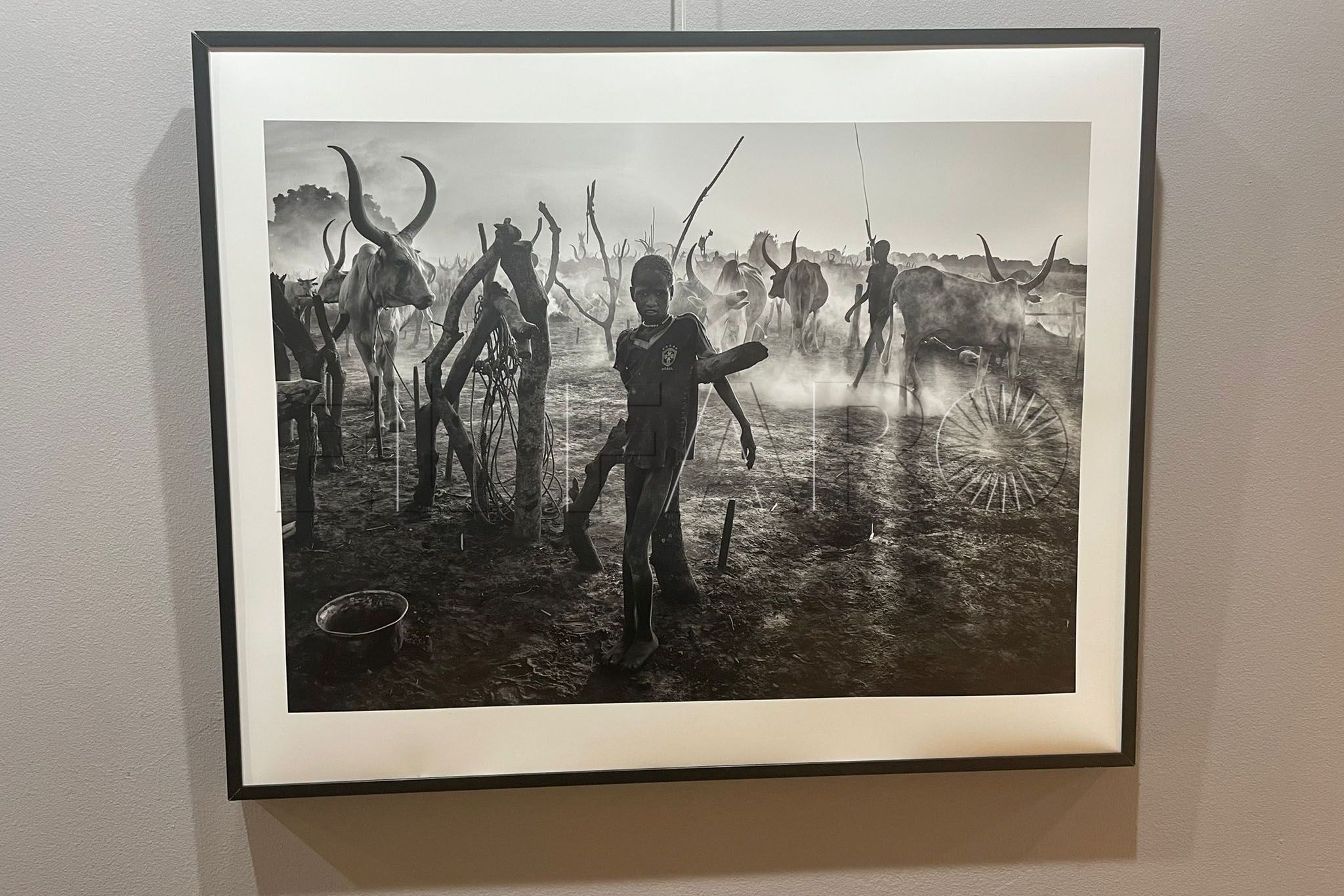 exposicion-fotografia-nilo-blanco (6)