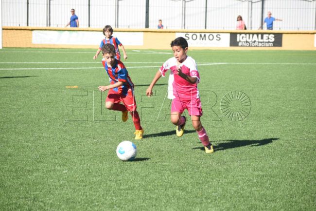 Material deportivo: la RFFCE aprueba ayudas para los equipos de la Base y femenino sénior