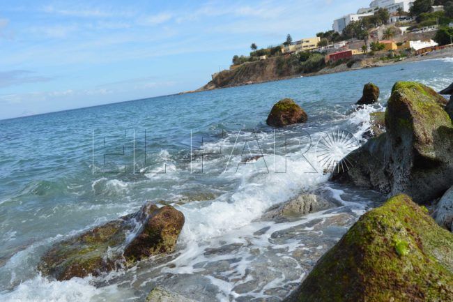 Ecosistemas marinos de Ceuta: ¿preocupación tras las altas temperaturas?