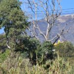 monte-garcia-aldave-incendio-003