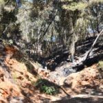 monte-garcia-aldave-incendio-006