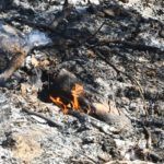 monte-garcia-aldave-incendio-007