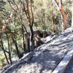 monte-garcia-aldave-incendio-008