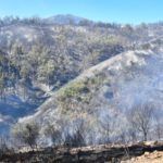 monte-garcia-aldave-incendio-010