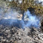 monte-garcia-aldave-incendio-011